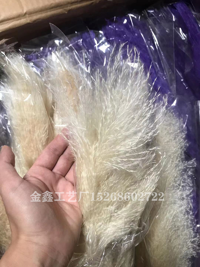 1PC Bulrush Natural Dried Flowers Artificial Plants Branch Pampas Grass Phragmites Fake Flower Wedding Vase Home Decor 1PC Bulrush Natural Dried Flowers Artificial Plants Branch Pampas Grass Phragmites Fake Flower Wedding Vase Home Decor