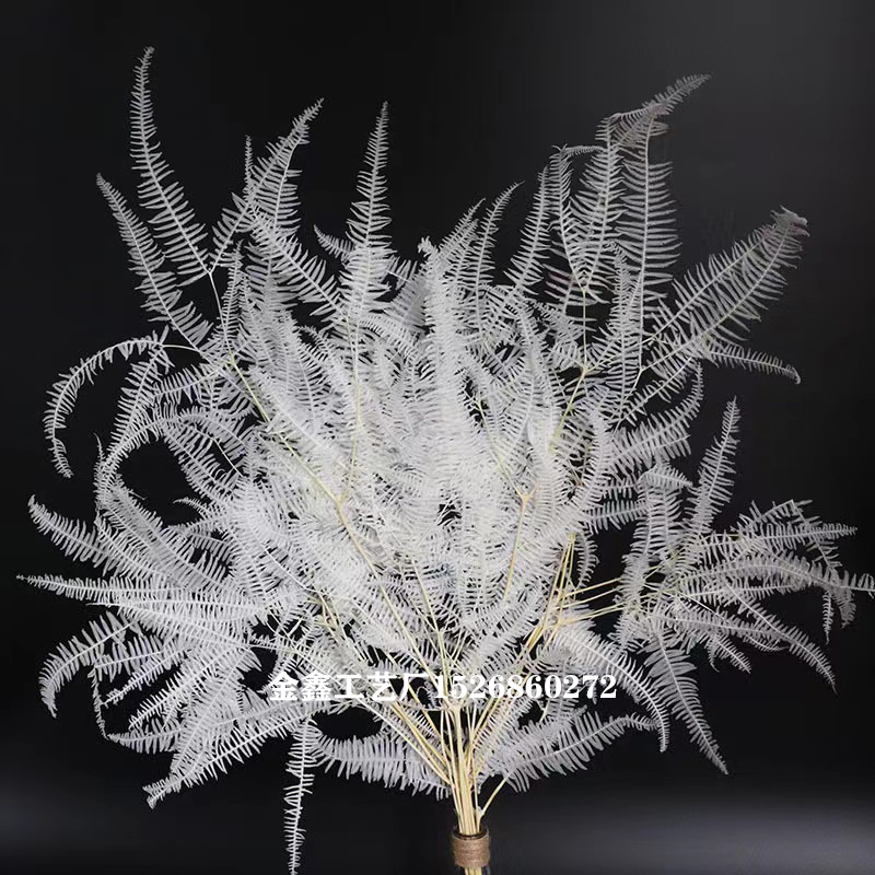 10Pcs Dried Flower Leaf Preserved Fresh Alpine Sheep Tooth Leaf Bouquet Fiddlehead Ferns Eternelle Home Decor Dekoration