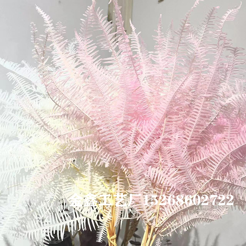 10Pcs Dried Flower Leaf Preserved Fresh Alpine Sheep Tooth Leaf Bouquet Fiddlehead Ferns Eternelle Home Decor Dekoration