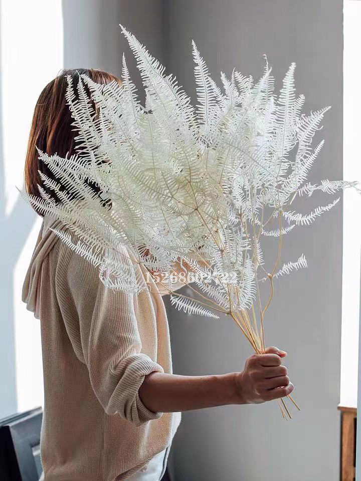 10Pcs Dried Flower Leaf Preserved Fresh Alpine Sheep Tooth Leaf Bouquet Fiddlehead Ferns Eternelle Home Decor Dekoration 10Pcs Dried Flower Leaf Preserved Fresh Alpine Sheep Tooth Leaf Bouquet Fiddlehead Ferns Eternelle Home Decor Dekoration