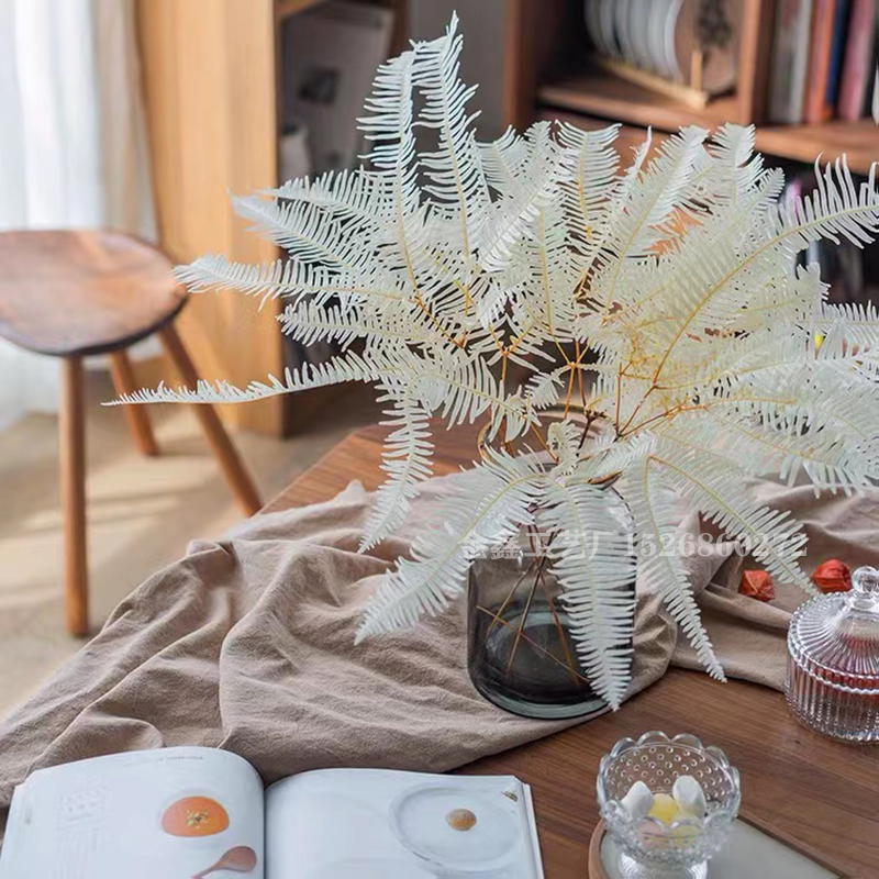 10Pcs Dried Flower Leaf Preserved Fresh Alpine Sheep Tooth Leaf Bouquet Fiddlehead Ferns Eternelle Home Decor Dekoration 10Pcs Dried Flower Leaf Preserved Fresh Alpine Sheep Tooth Leaf Bouquet Fiddlehead Ferns Eternelle Home Decor Dekoration