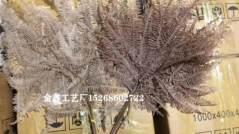 10Pcs Dried Flower Leaf Preserved Fresh Alpine Sheep Tooth Leaf Bouquet Fiddlehead Ferns Eternelle Home Decor Dekoration 10Pcs Dried Flower Leaf Preserved Fresh Alpine Sheep Tooth Leaf Bouquet Fiddlehead Ferns Eternelle Home Decor Dekoration