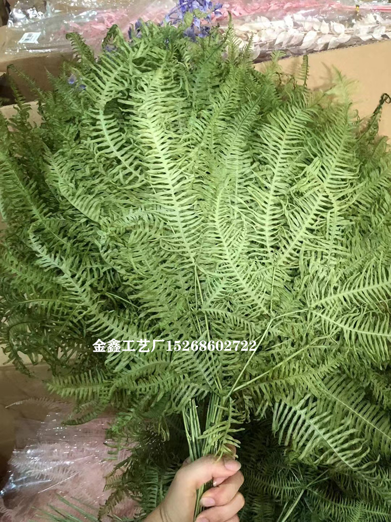 10Pcs Dried Flower Leaf Preserved Fresh Alpine Sheep Tooth Leaf Bouquet Fiddlehead Ferns Eternelle Home Decor Dekoration 10Pcs Dried Flower Leaf Preserved Fresh Alpine Sheep Tooth Leaf Bouquet Fiddlehead Ferns Eternelle Home Decor Dekoration
