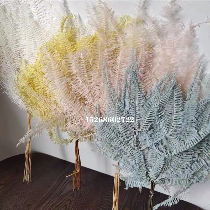 10Pcs Dried Flower Leaf Preserved Fresh Alpine Sheep Tooth Leaf Bouquet Fiddlehead Ferns Eternelle Home Decor Dekoration 10Pcs Dried Flower Leaf Preserved Fresh Alpine Sheep Tooth Leaf Bouquet Fiddlehead Ferns Eternelle Home Decor Dekoration