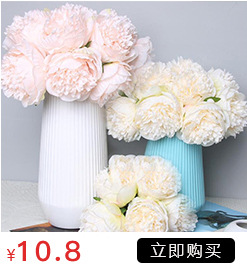Artificial Plant Decoration Artificial Flower Plant Zamioculcas Leaves Artificial Flower Artificial Plant Single Stem Multi-Head Leaf Eucalyptus