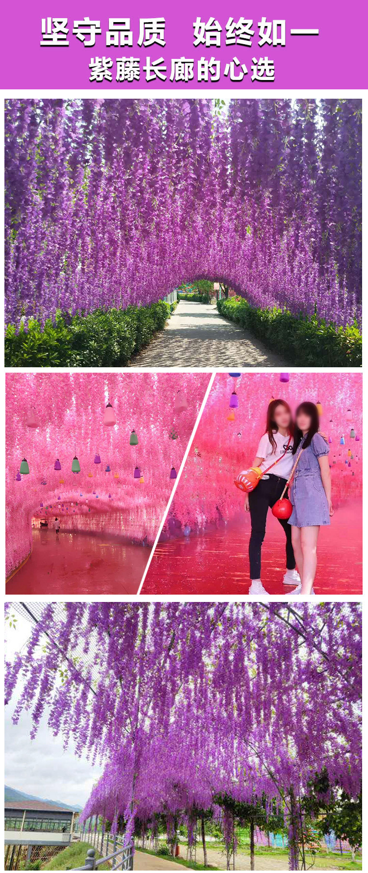 Wedding Celebration Decoration Wisteria Flower Artificial Flower Douban Flower Plastic Flowers Fake Flower Silk Flower Artificial Plant Rattan Factory Wholesale Wedding Celebration Decoration Wisteria Flower Artificial Flower Douban Flower Plastic Flowers Fake Flower Silk Flower Artificial Plant Rattan Factory Wholesale