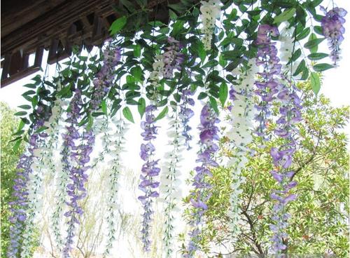 Extended simulation simulation Wistaria, Wisteria flower artificial flower douhua artificial flower silk flower hanging watercress flower