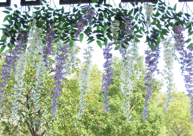 Extended simulation simulation Wistaria, Wisteria flower artificial flower douhua artificial flower silk flower hanging watercress flower Extended simulation simulation Wistaria, Wisteria flower artificial flower douhua artificial flower silk flower hanging watercress flower