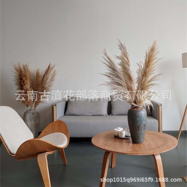 Large Reed Dried Reed Flower Wholesale Pampas Grass Internet Celebrity Dried Flowers Wedding Props Soft Window Layout Cross-Border Dried Flowers Large Reed Dried Reed Flower Wholesale Pampas Grass Internet Celebrity Dried Flowers Wedding Props Soft Window Layout Cross-Border Dried Flowers