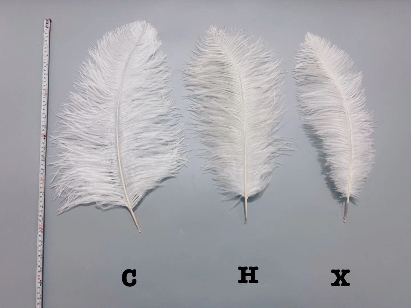 Factory in Stock 50-55cm White Ostrich Feather Wedding Home Furnishing Decoration Flower Arrangement Feather Lamp Color Feather