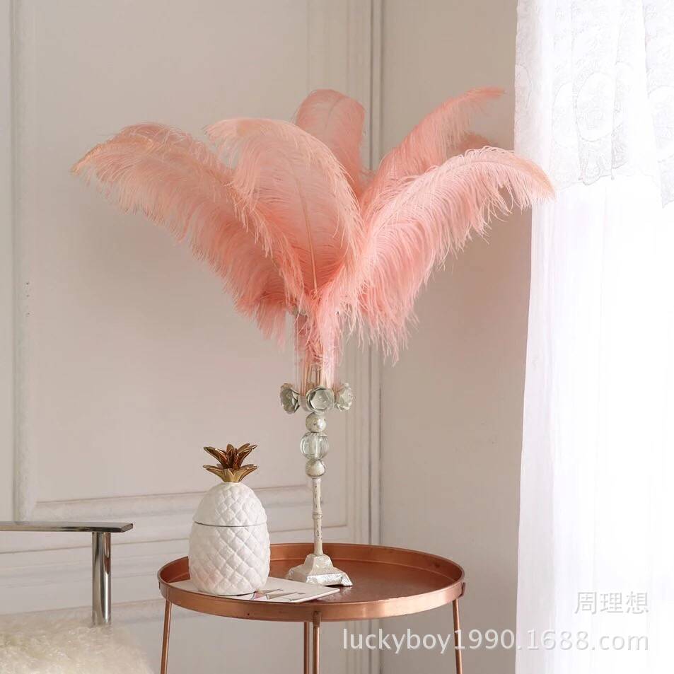 Factory in Stock 50-55cm White Ostrich Feather Wedding Home Furnishing Decoration Flower Arrangement Feather Lamp Color Feather