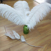 Factory in Stock 50-55cm White Ostrich Feather Wedding Home Furnishing Decoration Flower Arrangement Feather Lamp Color Feather