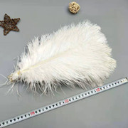 Factory in Stock 50-55cm White Ostrich Feather Wedding Home Furnishing Decoration Flower Arrangement Feather Lamp Color Feather