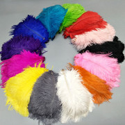 Factory in Stock 50-55cm White Ostrich Feather Wedding Home Furnishing Decoration Flower Arrangement Feather Lamp Color Feather