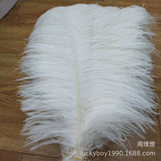 Factory in Stock 50-55cm White Ostrich Feather Wedding Home Furnishing Decoration Flower Arrangement Feather Lamp Color Feather