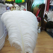 Factory in Stock 50-55cm White Ostrich Feather Wedding Home Furnishing Decoration Flower Arrangement Feather Lamp Color Feather