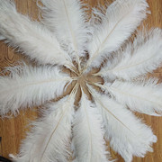 Factory in Stock 50-55cm White Ostrich Feather Wedding Home Furnishing Decoration Flower Arrangement Feather Lamp Color Feather