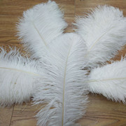 Factory in Stock 50-55cm White Ostrich Feather Wedding Home Furnishing Decoration Flower Arrangement Feather Lamp Color Feather