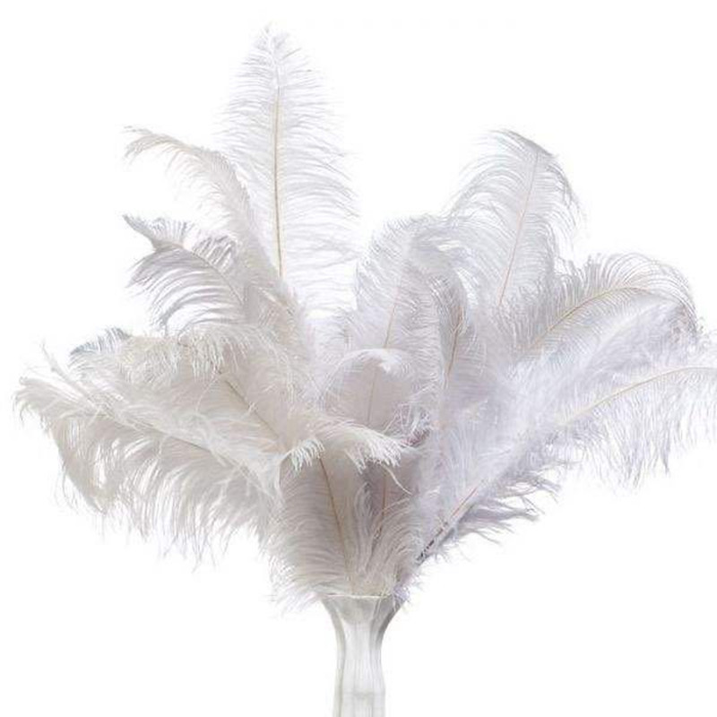 Factory in Stock 50-55cm White Ostrich Feather Wedding Home Furnishing Decoration Flower Arrangement Feather Lamp Color Feather