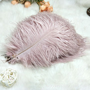 Factory in Stock 50-55cm White Ostrich Feather Wedding Home Furnishing Decoration Flower Arrangement Feather Lamp Color Feather