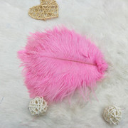 Factory in Stock 50-55cm White Ostrich Feather Wedding Home Furnishing Decoration Flower Arrangement Feather Lamp Color Feather