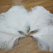 Factory in Stock 50-55cm White Ostrich Feather Wedding Home Furnishing Decoration Flower Arrangement Feather Lamp Color Feather