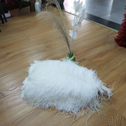 Factory in Stock 50-55cm White Ostrich Feather Wedding Home Furnishing Decoration Flower Arrangement Feather Lamp Color Feather