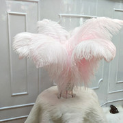 Factory in Stock 50-55cm White Ostrich Feather Wedding Home Furnishing Decoration Flower Arrangement Feather Lamp Color Feather