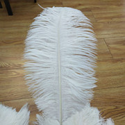Factory in Stock 50-55cm White Ostrich Feather Wedding Home Furnishing Decoration Flower Arrangement Feather Lamp Color Feather
