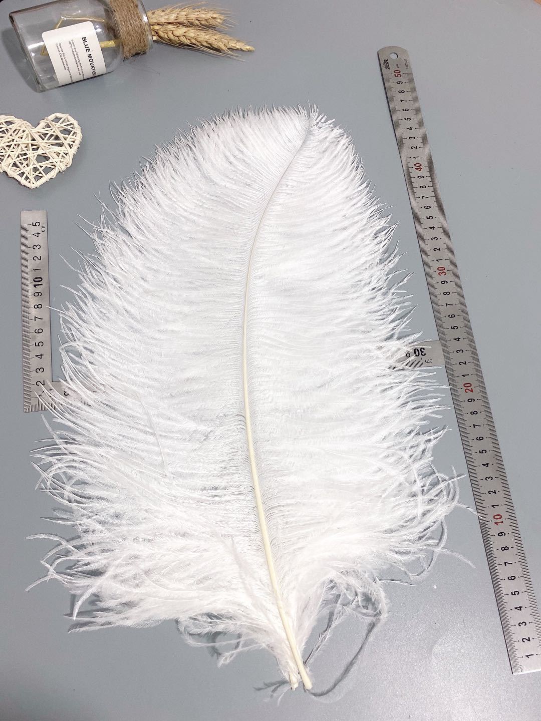 Factory in Stock 50-55cm White Ostrich Feather Wedding Home Furnishing Decoration Flower Arrangement Feather Lamp Color Feather
