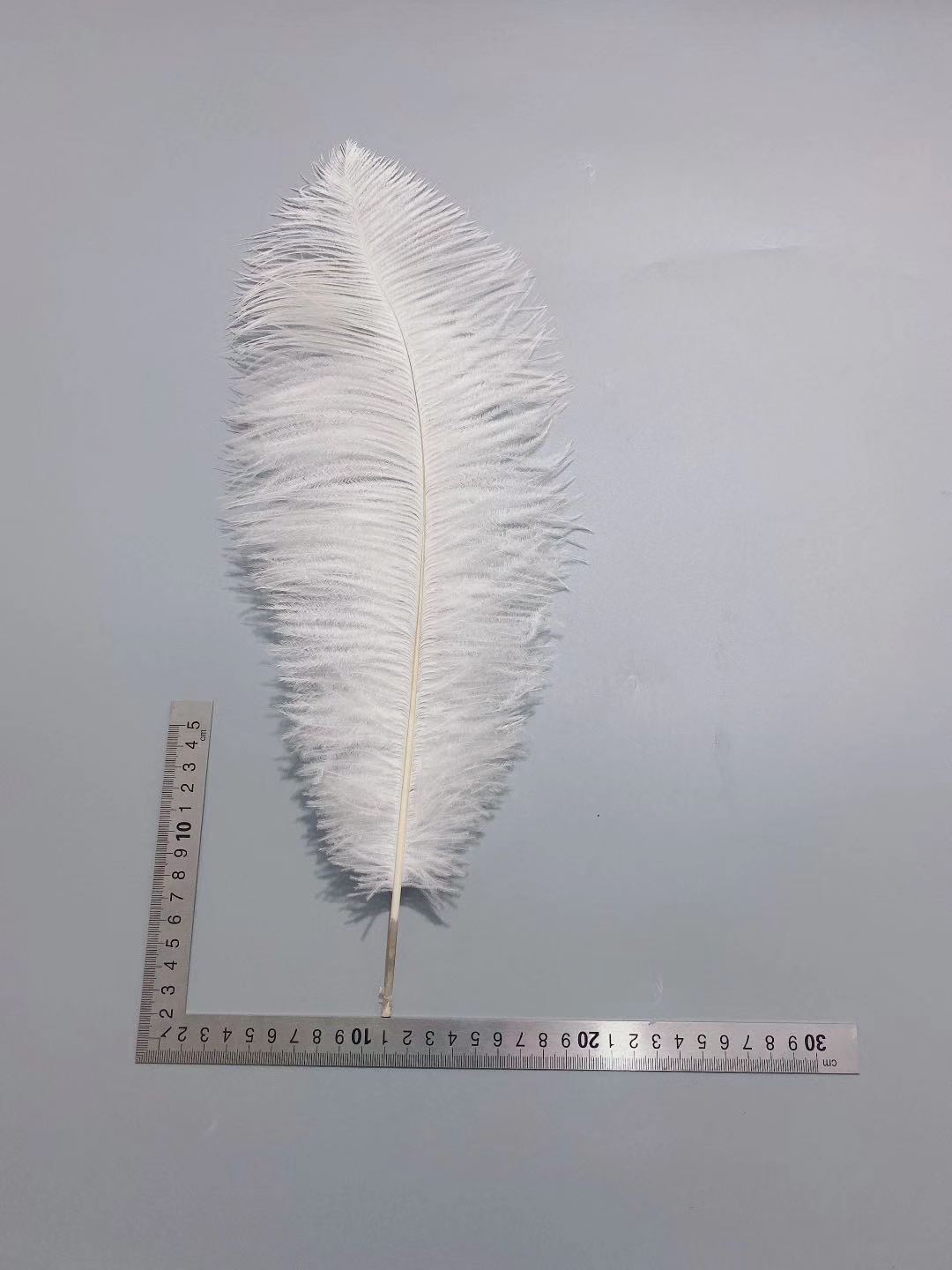 Factory in Stock 50-55cm White Ostrich Feather Wedding Home Furnishing Decoration Flower Arrangement Feather Lamp Color Feather