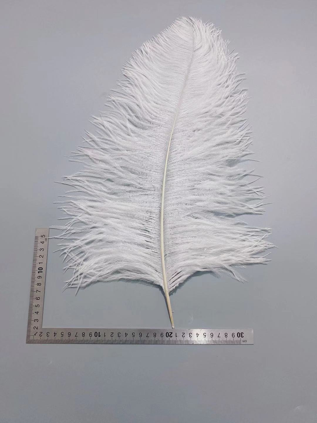 Factory in Stock 50-55cm White Ostrich Feather Wedding Home Furnishing Decoration Flower Arrangement Feather Lamp Color Feather