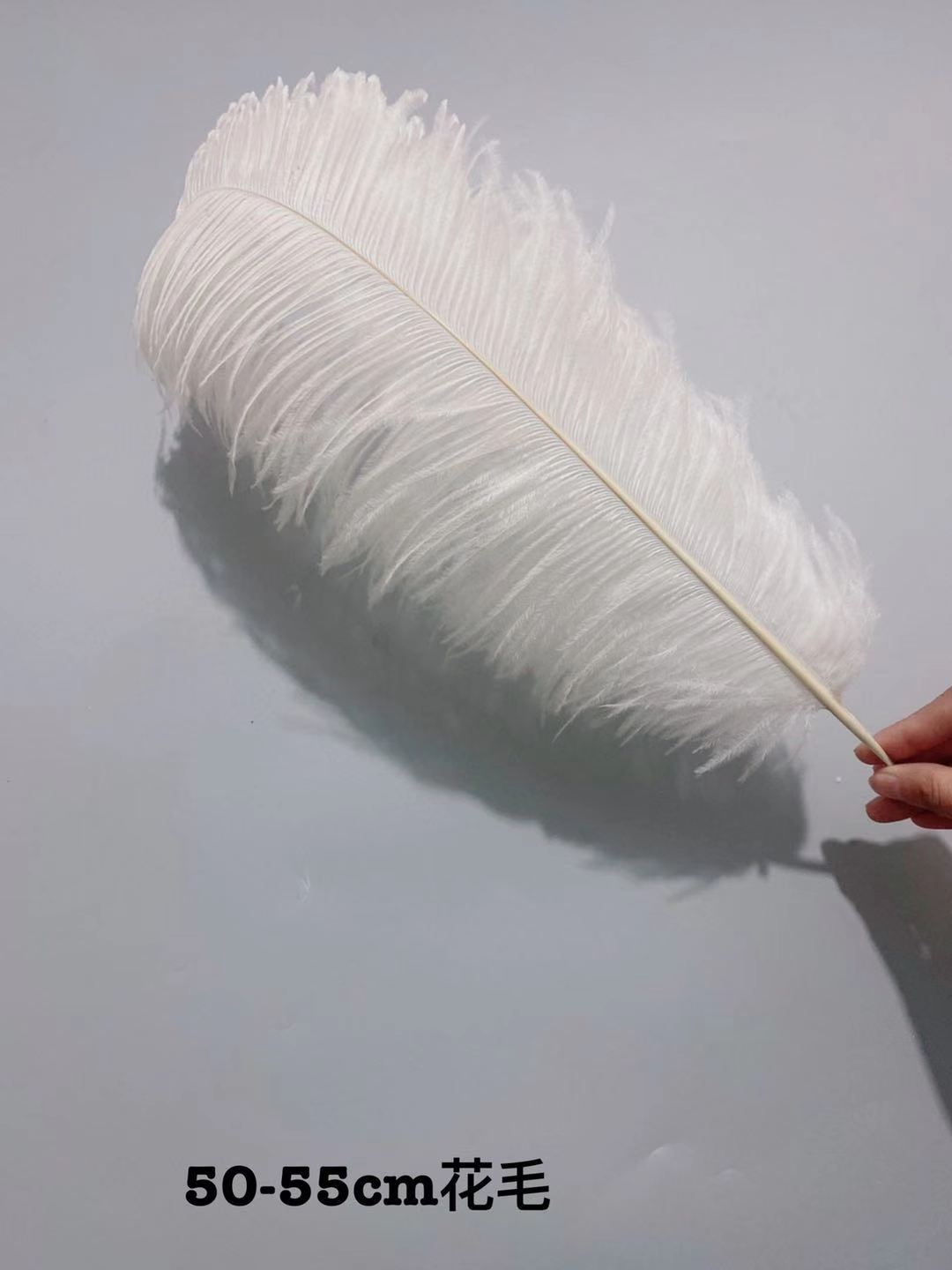 Factory in Stock 50-55cm White Ostrich Feather Wedding Home Furnishing Decoration Flower Arrangement Feather Lamp Color Feather