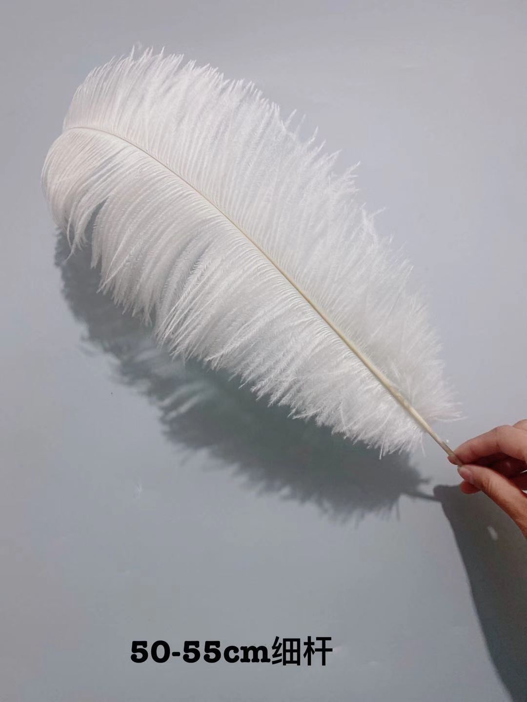 Factory in Stock 50-55cm White Ostrich Feather Wedding Home Furnishing Decoration Flower Arrangement Feather Lamp Color Feather