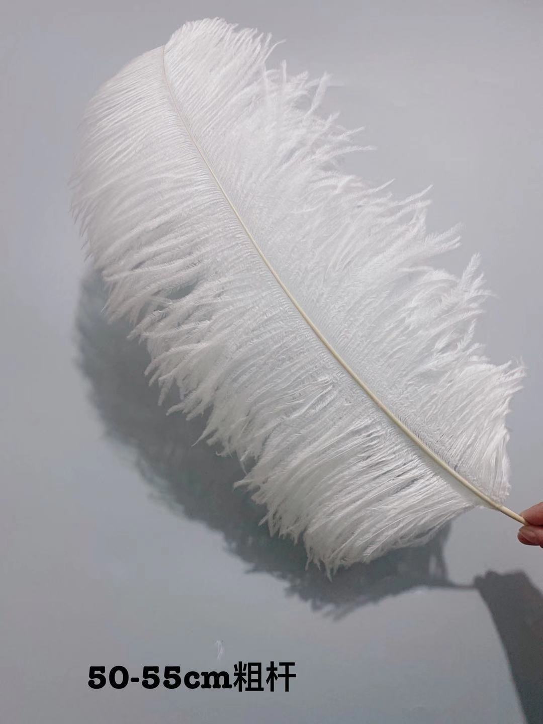 Factory in Stock 50-55cm White Ostrich Feather Wedding Home Furnishing Decoration Flower Arrangement Feather Lamp Color Feather