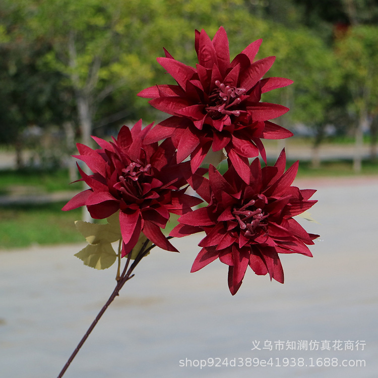 Western Rose Wedding Celebration Decoration Artificial Flower Artificial Flower European-Style Core 3 Peony Wholesale Origin Supply