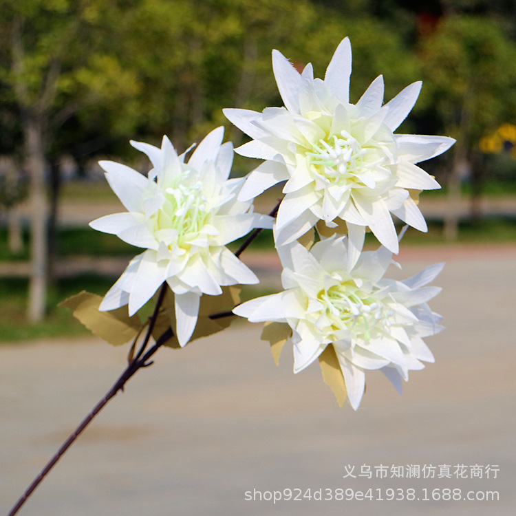 Western Rose Wedding Celebration Decoration Artificial Flower Artificial Flower European-Style Core 3 Peony Wholesale Origin Supply