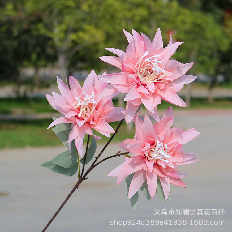 Western Rose Wedding Celebration Decoration Artificial Flower Artificial Flower European-Style Core 3 Peony Wholesale Origin Supply