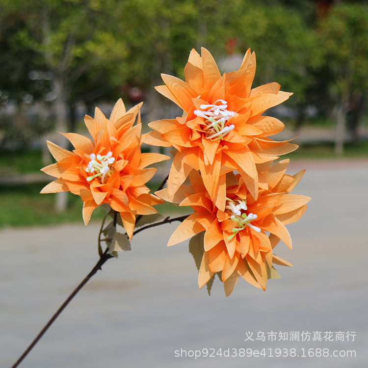 Western Rose Wedding Celebration Decoration Artificial Flower Artificial Flower European-Style Core 3 Peony Wholesale Origin Supply