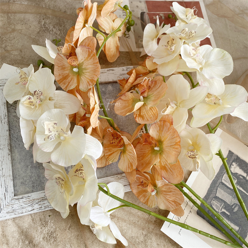 Artificial Phalaenopsis 8 Head Autumn Color Cloth with Snow Spots Wedding Beautiful Wedding Hall Decorative Silk Flower Orchid Cymbidium Faberi Foreign Trade Artificial Phalaenopsis 8 Head Autumn Color Cloth with Snow Spots Wedding Beautiful Wedding Hall Decorative Silk Flower Orchid Cymbidium Faberi Foreign Trade