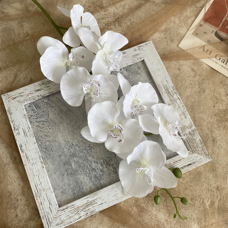 Artificial Phalaenopsis 8 Head Autumn Color Cloth with Snow Spots Wedding Beautiful Wedding Hall Decorative Silk Flower Orchid Cymbidium Faberi Foreign Trade Artificial Phalaenopsis 8 Head Autumn Color Cloth with Snow Spots Wedding Beautiful Wedding Hall Decorative Silk Flower Orchid Cymbidium Faberi Foreign Trade