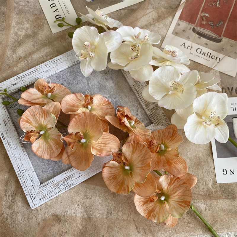 Artificial Phalaenopsis 8 Head Autumn Color Cloth with Snow Spots Wedding Beautiful Wedding Hall Decorative Silk Flower Orchid Cymbidium Faberi Foreign Trade Artificial Phalaenopsis 8 Head Autumn Color Cloth with Snow Spots Wedding Beautiful Wedding Hall Decorative Silk Flower Orchid Cymbidium Faberi Foreign Trade