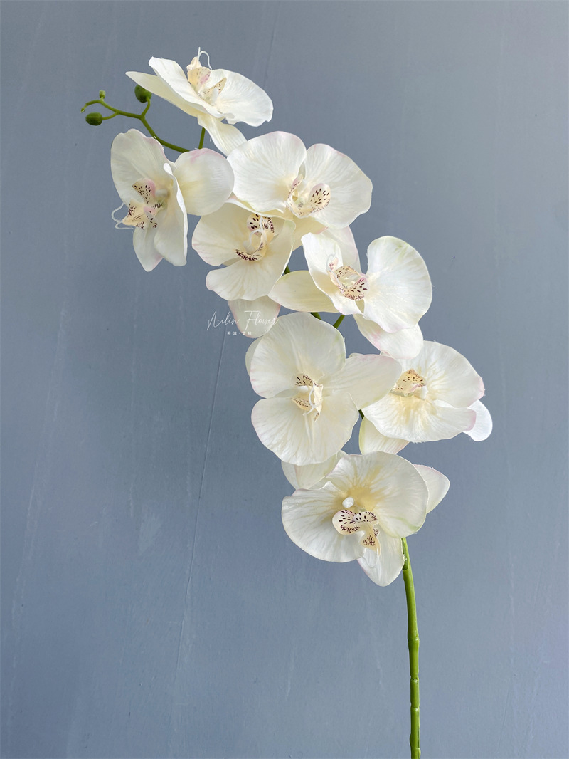 Artificial Phalaenopsis 8 Head Autumn Color Cloth with Snow Spots Wedding Beautiful Wedding Hall Decorative Silk Flower Orchid Cymbidium Faberi Foreign Trade Artificial Phalaenopsis 8 Head Autumn Color Cloth with Snow Spots Wedding Beautiful Wedding Hall Decorative Silk Flower Orchid Cymbidium Faberi Foreign Trade
