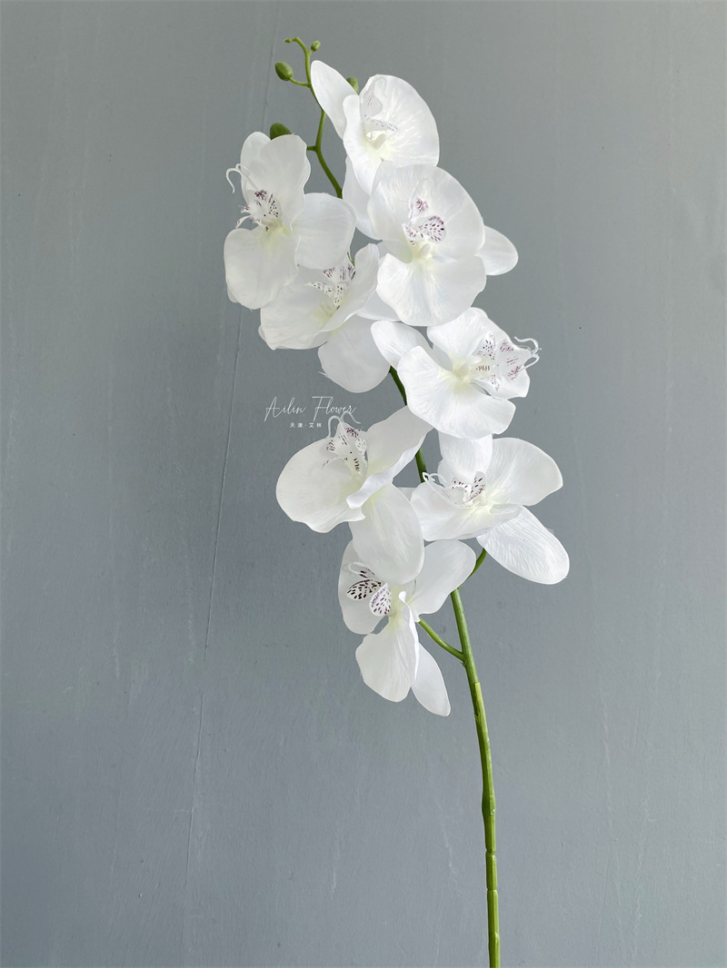 Artificial Phalaenopsis 8 Head Autumn Color Cloth with Snow Spots Wedding Beautiful Wedding Hall Decorative Silk Flower Orchid Cymbidium Faberi Foreign Trade Artificial Phalaenopsis 8 Head Autumn Color Cloth with Snow Spots Wedding Beautiful Wedding Hall Decorative Silk Flower Orchid Cymbidium Faberi Foreign Trade
