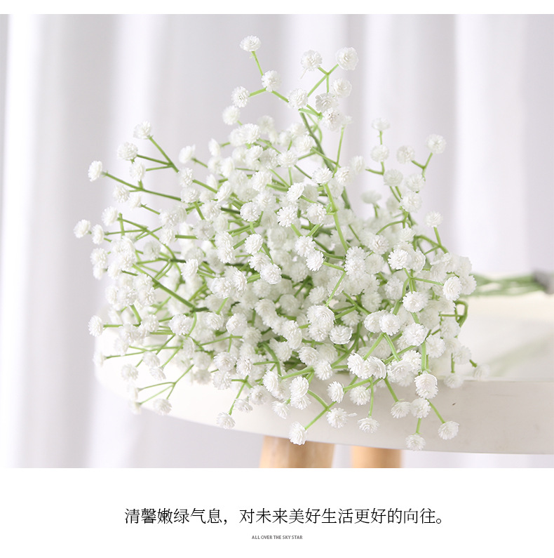 Artificial Flower Starry Sky Preserved Fresh Flower Pu Starry Sky Hand Bouquet Dried Flower Wedding Celebration Decoration Home Decoration Wholesale Artificial Flower Starry Sky Preserved Fresh Flower Pu Starry Sky Hand Bouquet Dried Flower Wedding Celebration Decoration Home Decoration Wholesale