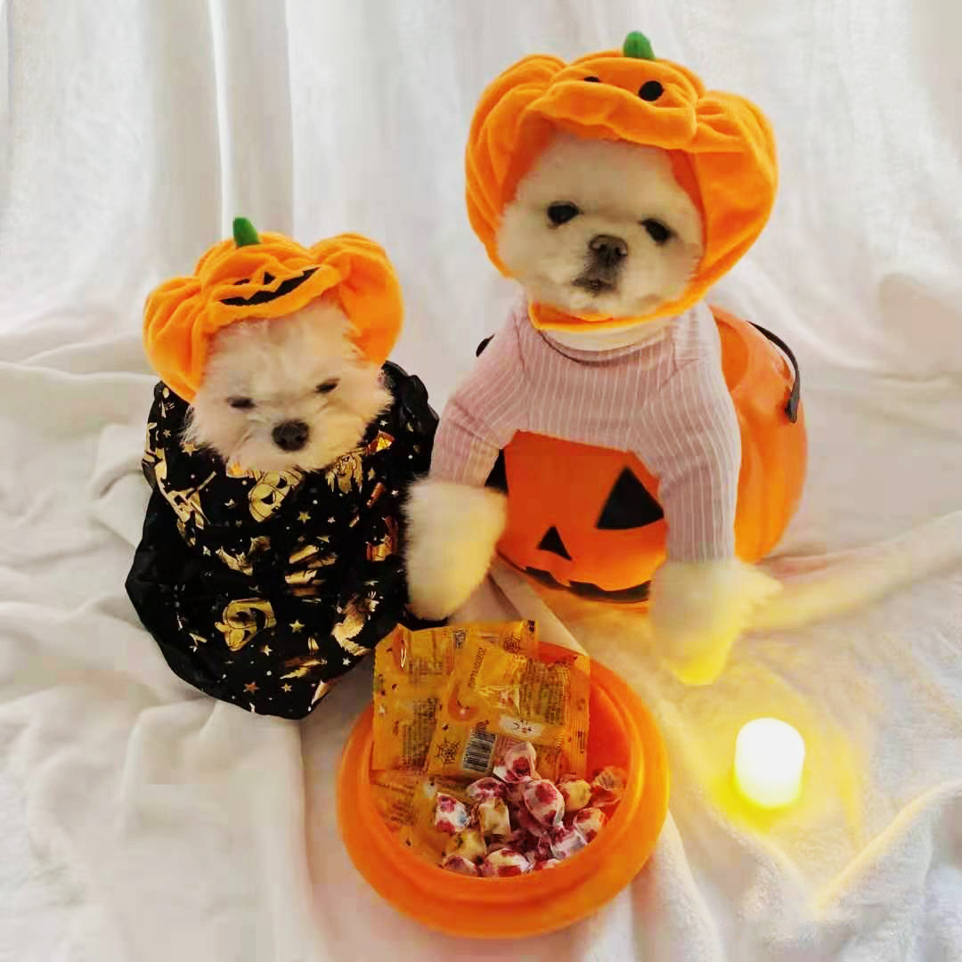 Pet Cat Dog Pumpkin Hat Halloween Ghost Festival Decorative Headdress Supplies Small Medium Large Dog Teddy/French Bulldog