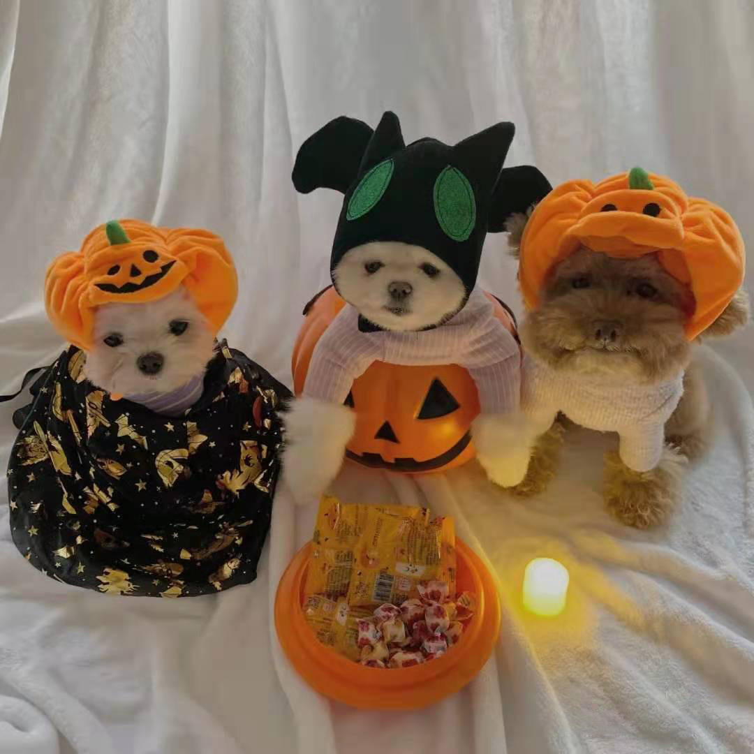 Pet Cat Dog Pumpkin Hat Halloween Ghost Festival Decorative Headdress Supplies Small Medium Large Dog Teddy/French Bulldog Pet Cat Dog Pumpkin Hat Halloween Ghost Festival Decorative Headdress Supplies Small Medium Large Dog Teddy/French Bulldog