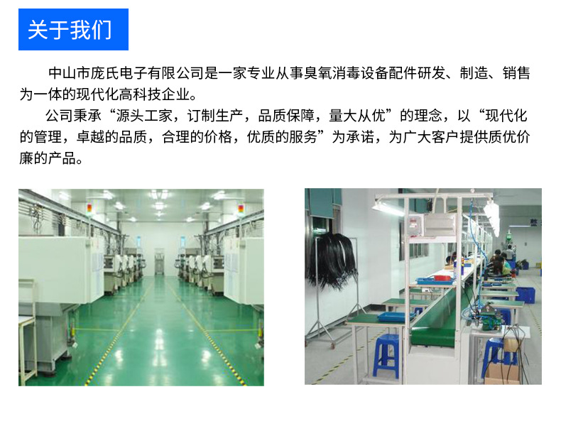 Supply Water Dispenser Ozone Generator Water Purifier Water Treatment Disinfection Integrated Ozone Generation Module Accessories