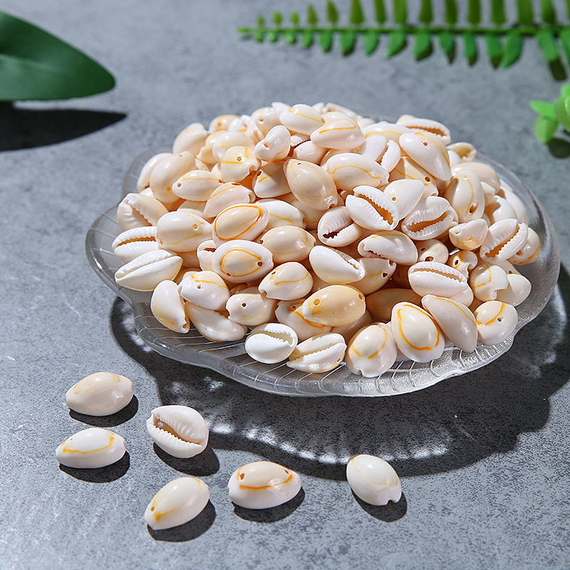 Single Hole Golden Edge Shell Conch Shell Electroplating Punching Shell Teeth Shell Shoes Hat Accessories Edging Shell Spot Single Hole Golden Edge Shell Conch Shell Electroplating Punching Shell Teeth Shell Shoes Hat Accessories Edging Shell Spot