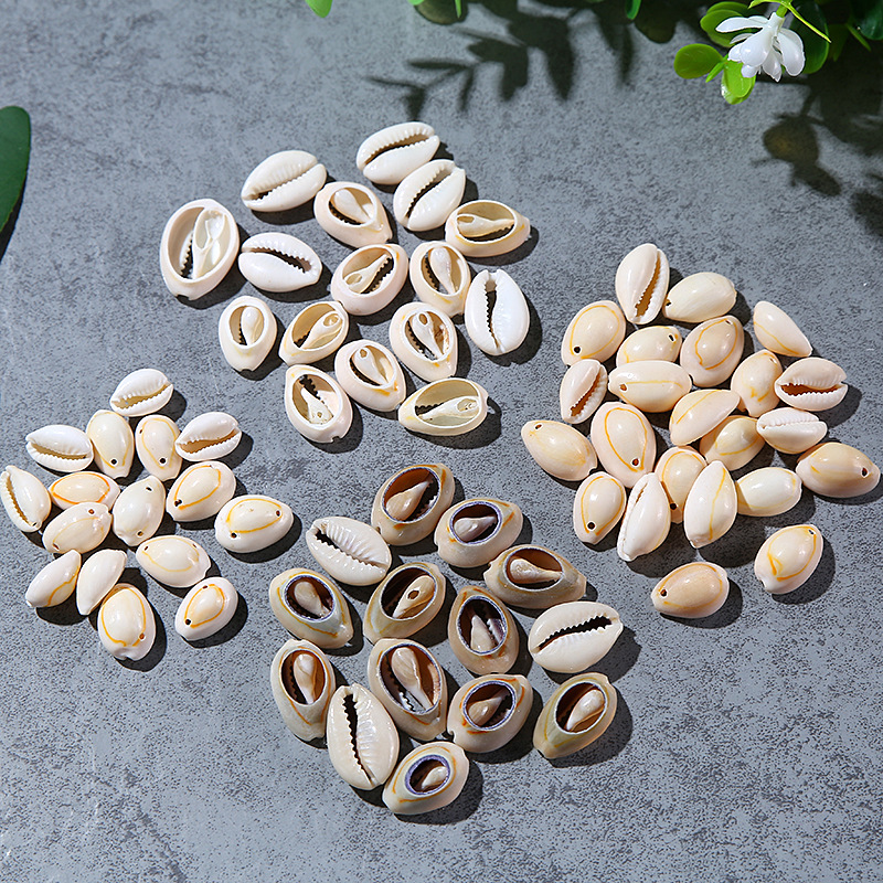 Single Hole Golden Edge Shell Conch Shell Electroplating Punching Shell Teeth Shell Shoes Hat Accessories Edging Shell Spot Single Hole Golden Edge Shell Conch Shell Electroplating Punching Shell Teeth Shell Shoes Hat Accessories Edging Shell Spot